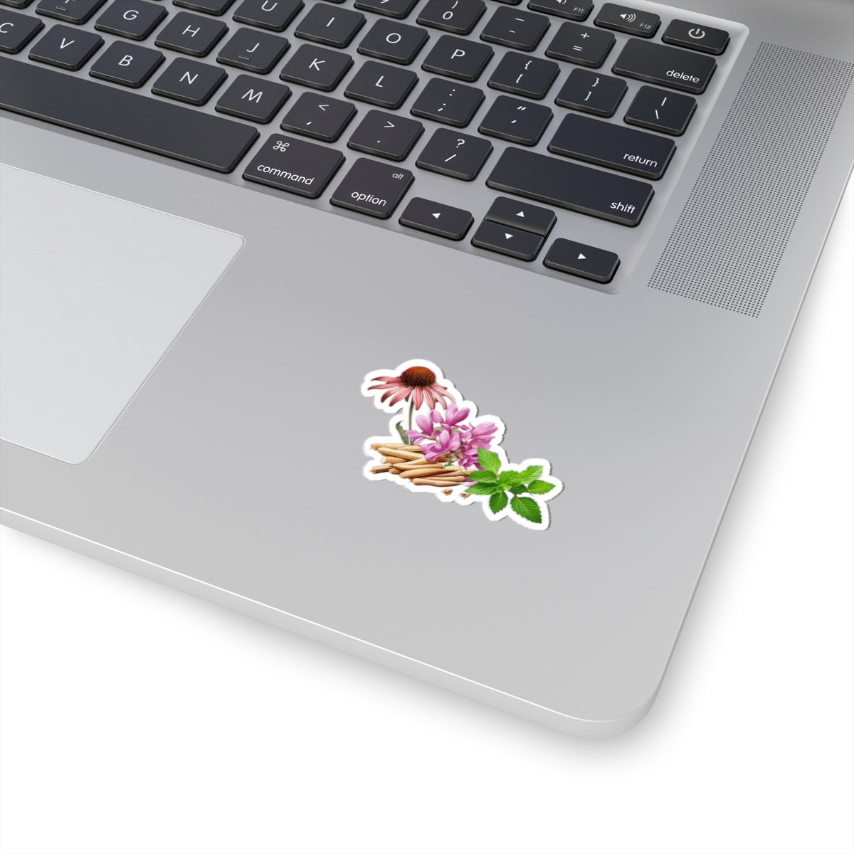 Herbal Wellness Sticker — Echinacea Kiss-Cut Floral Decal