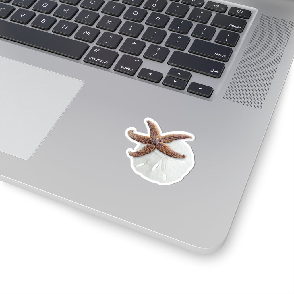 Starfish & Sand Dollar Kiss-Cut Sticker — Coastal Beach Shell Laptop Decal