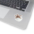 Starfish & Sand Dollar Kiss-Cut Sticker — Coastal Beach Shell Laptop Decal