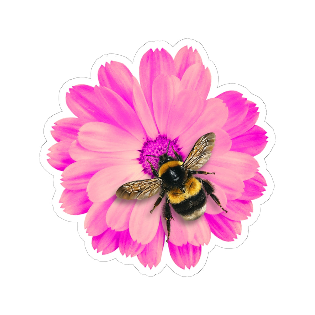 Bumblebee on Pink Daisy Sticker — Kiss-Cut Floral Bee Decal