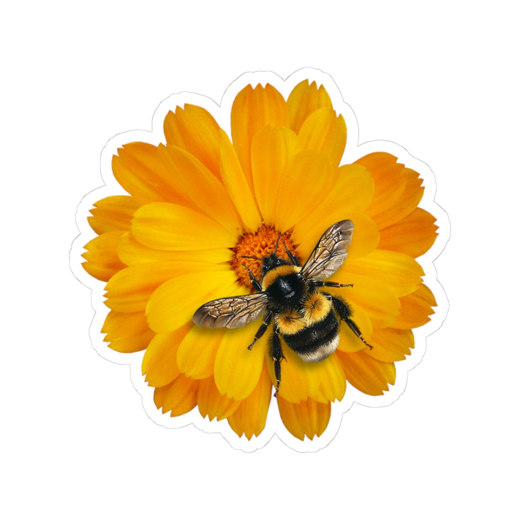 Bumblebee on Marigold Kiss-Cut Sticker