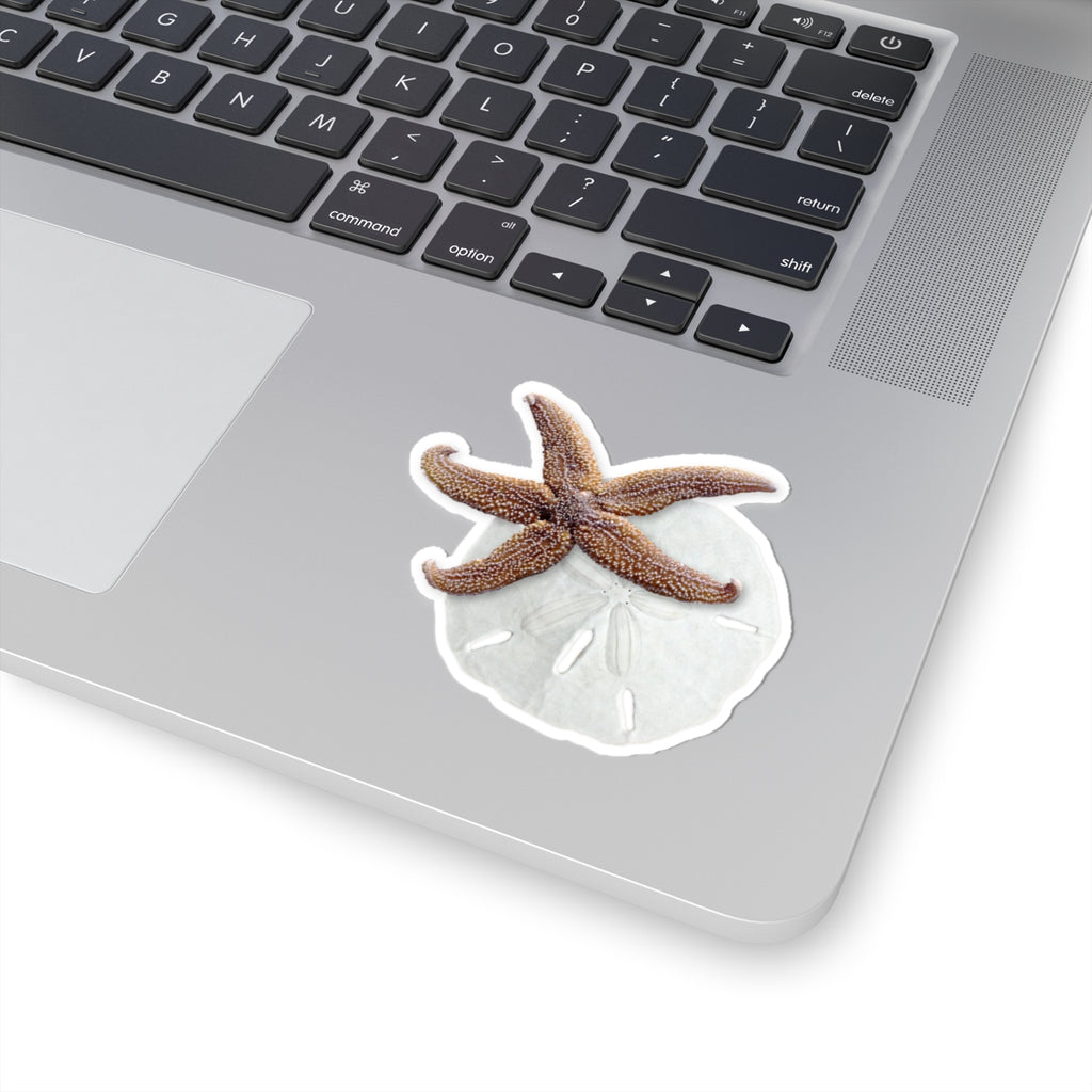 Starfish & Sand Dollar Kiss-Cut Sticker — Coastal Beach Shell Laptop Decal