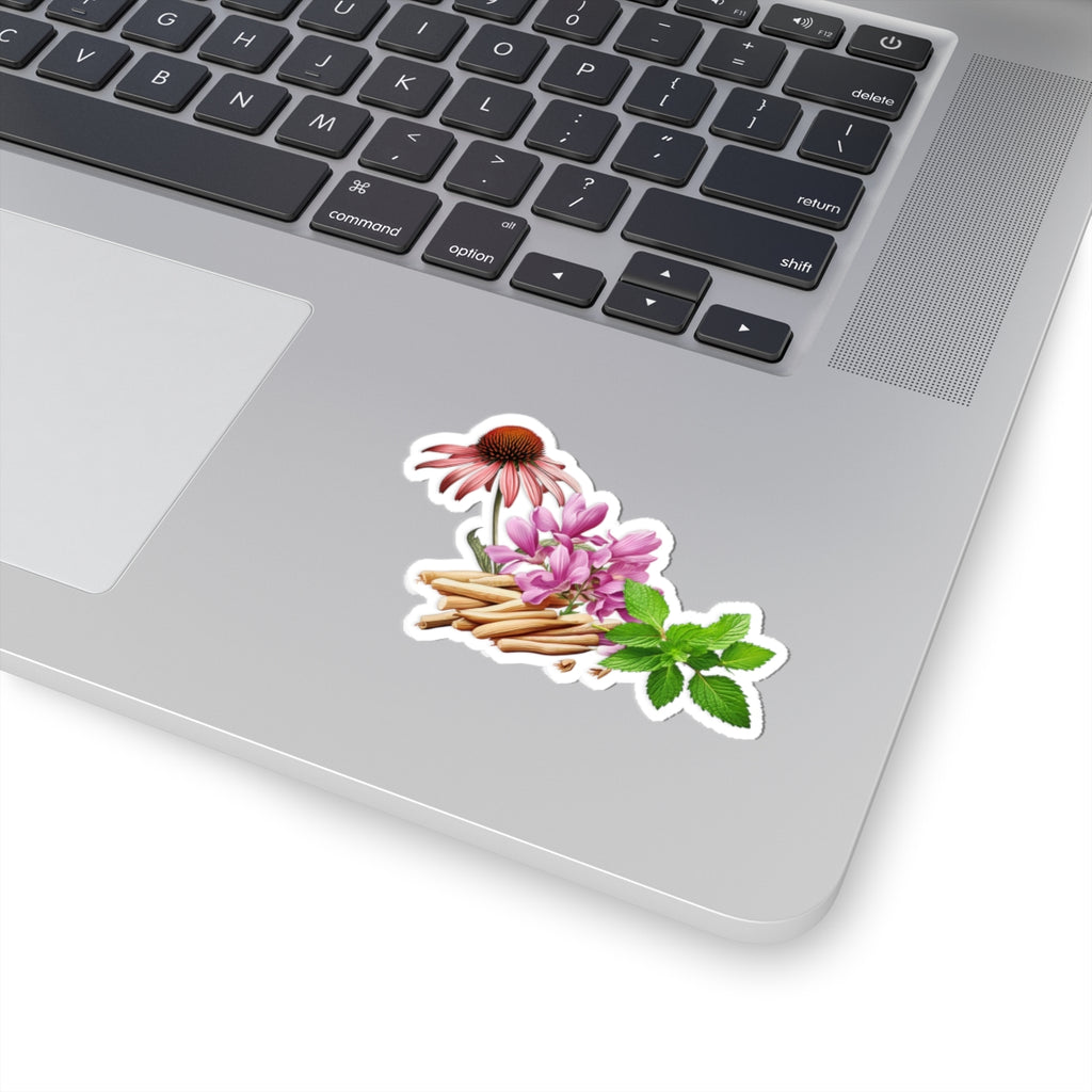 Herbal Wellness Sticker — Echinacea Kiss-Cut Floral Decal