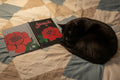 Open journal with red rose hand-illustrated design on black cover.